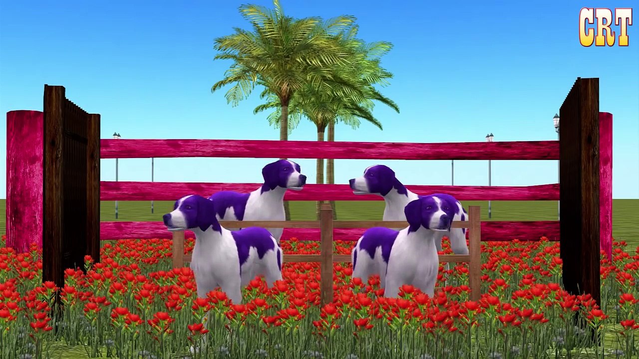 All Animals Colourful Colour Song || Learning Nursery Rhymes For Children Rhymes Tv Collection