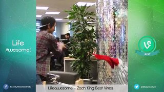 New ZACH KING Vine Compilation 2016 | BEST OF ZACH KING 2016 | The Best Vines