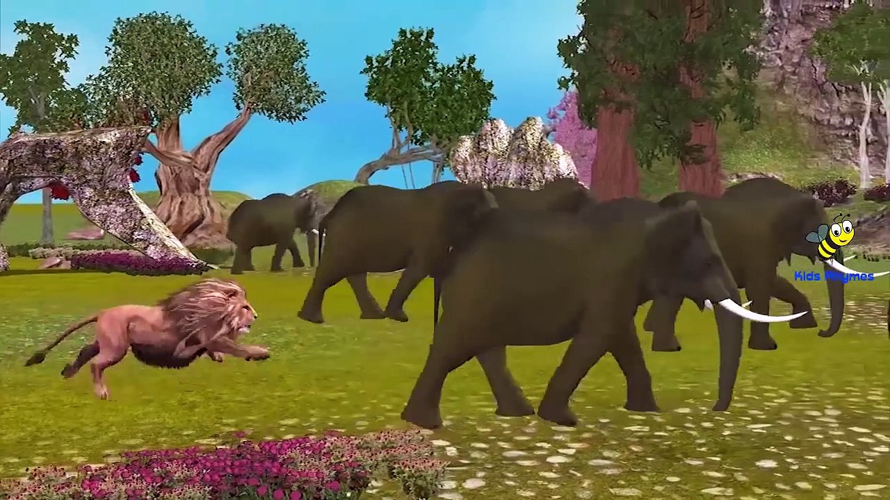 Lion Finger Family And Many More | Finger Family Songs| Nursery Rhymes Collection