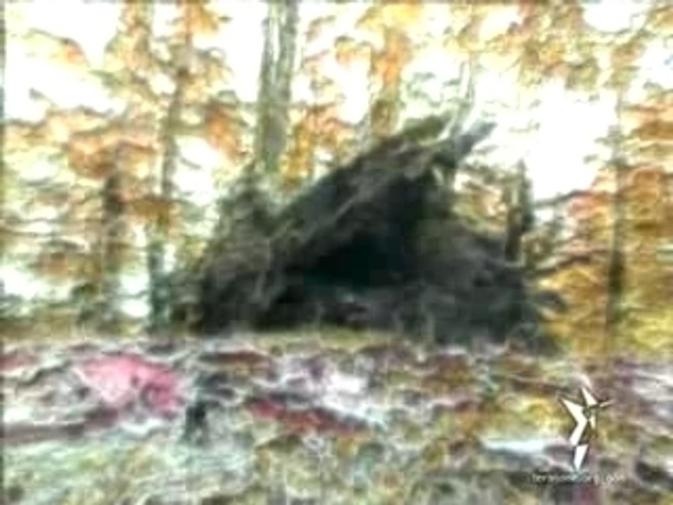 natural video painting