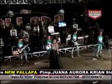 Bawang Merah _ Lilin Herlina _ New Pallapa Terbaru Kramatan Tasikagung Rembang 2016