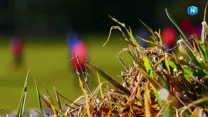 Zoom sur le SAS Epinal