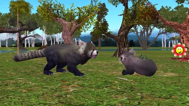 Animals Finger Family Songs For Children | Animals Cartoons For Children | Animals Finger Family