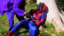 ENTERRADO VIVO Spiderman vs Congelado Elsa Rosa Bebé Spidergirl Bromista de la Familia de la Diversión Superhéroe movi