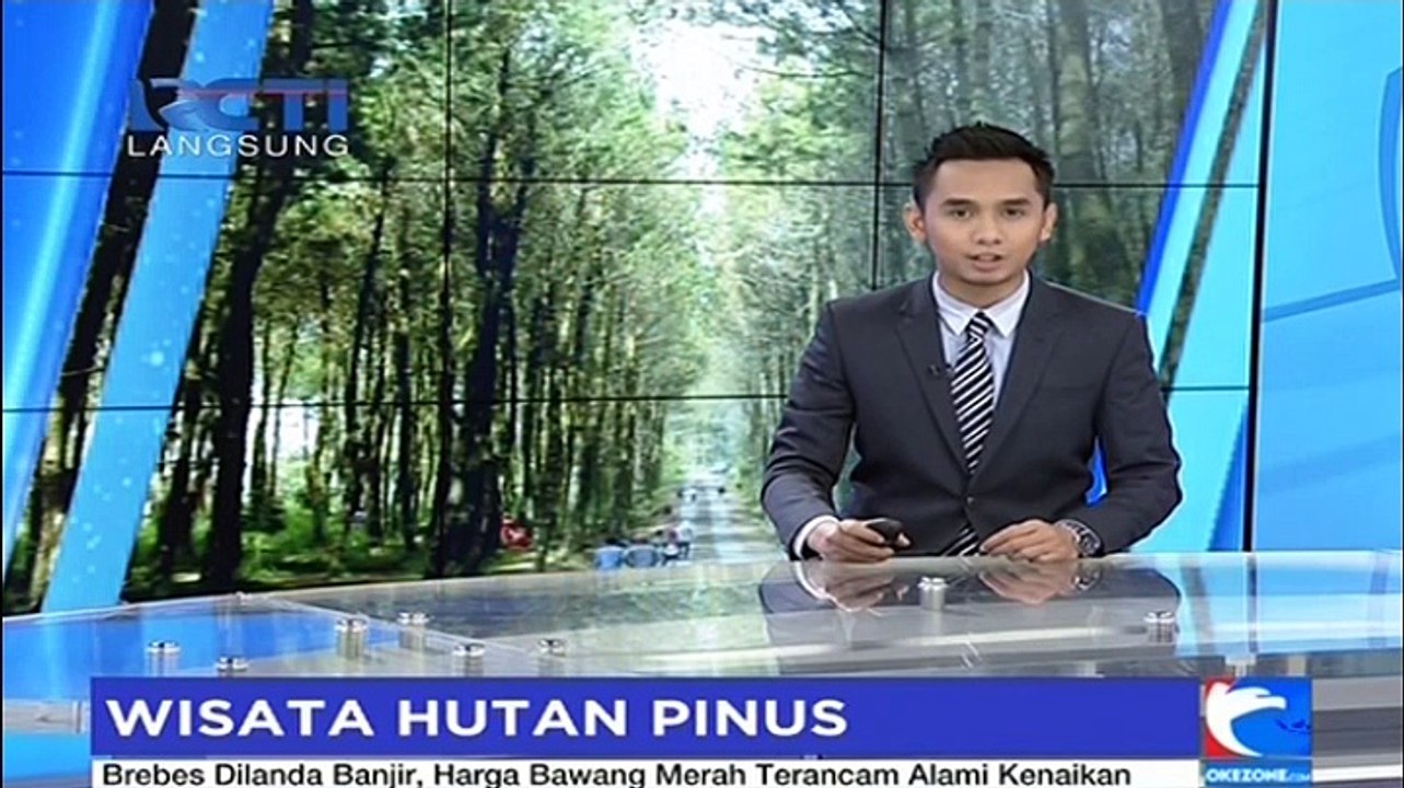 Wisata Outbound di Hutan Pinus