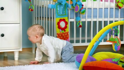 Мозг с Дэвидом Иглманом 2 серия / The Brain with David Eagleman (2015)