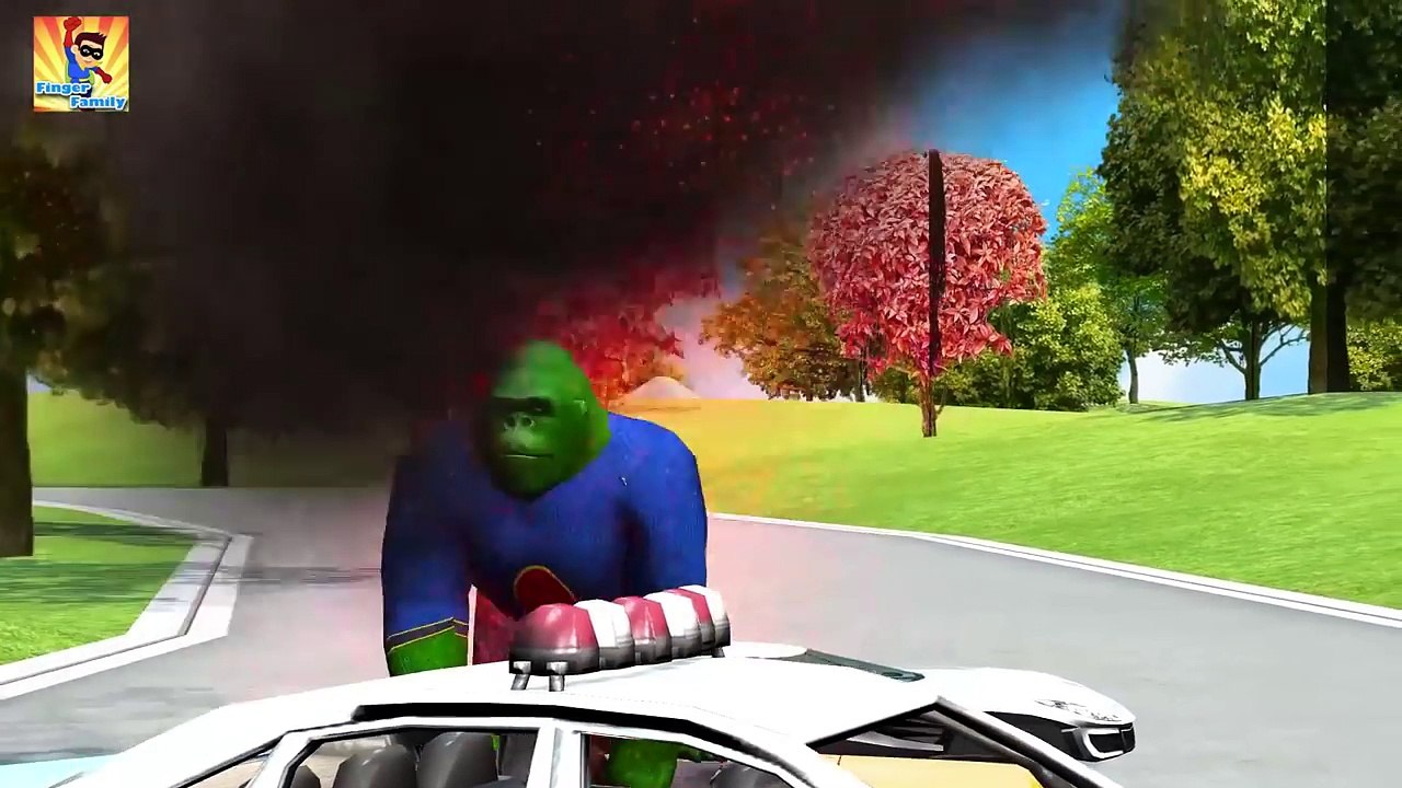 Finger Family Collection | Flying Gorilla Vs Dragon Family Nursery Rhymes Plus More