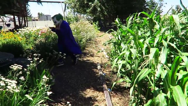 Замороженные elsa и Человек-Паук плохой мальчик Джокер похитил шалость Супергерл, Человек-паук смешные супер