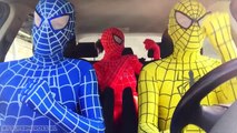 Человек-паук против Spiderbaby против синий Паук Spiderbaby весело Супергеройское кино в реа