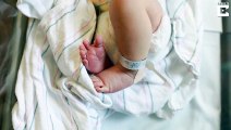Woman Photographs New Born's Wrapped In Blankets