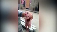 Un fermier entre dans sa grange et tombe sur une créature horrible. Il finit par avoir la peur de sa vie...