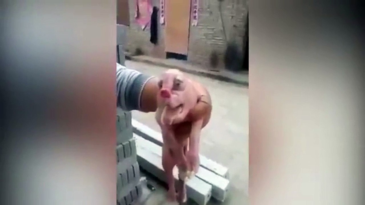 Un fermier entre dans sa grange et tombe sur une créature horrible. Il finit par avoir la peur de sa vie...