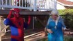 Angry Tooth Fairy Chases Elsa Spiderman Fun Superhero Kids Videos In Real Life In 4K