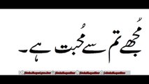 Mujhe Tum Se Mohabbat Hai /Urdu Shayari /In Hindi /In Urdu