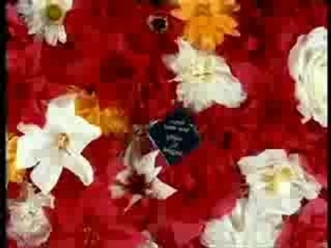 Elmer food beat - Le plastique c'est fantastique