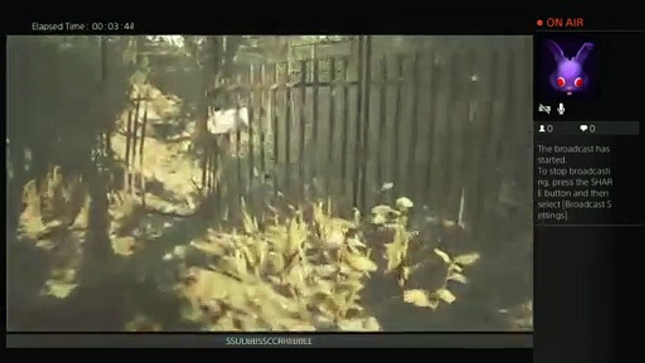 Please let me know if i am a pussy (3)