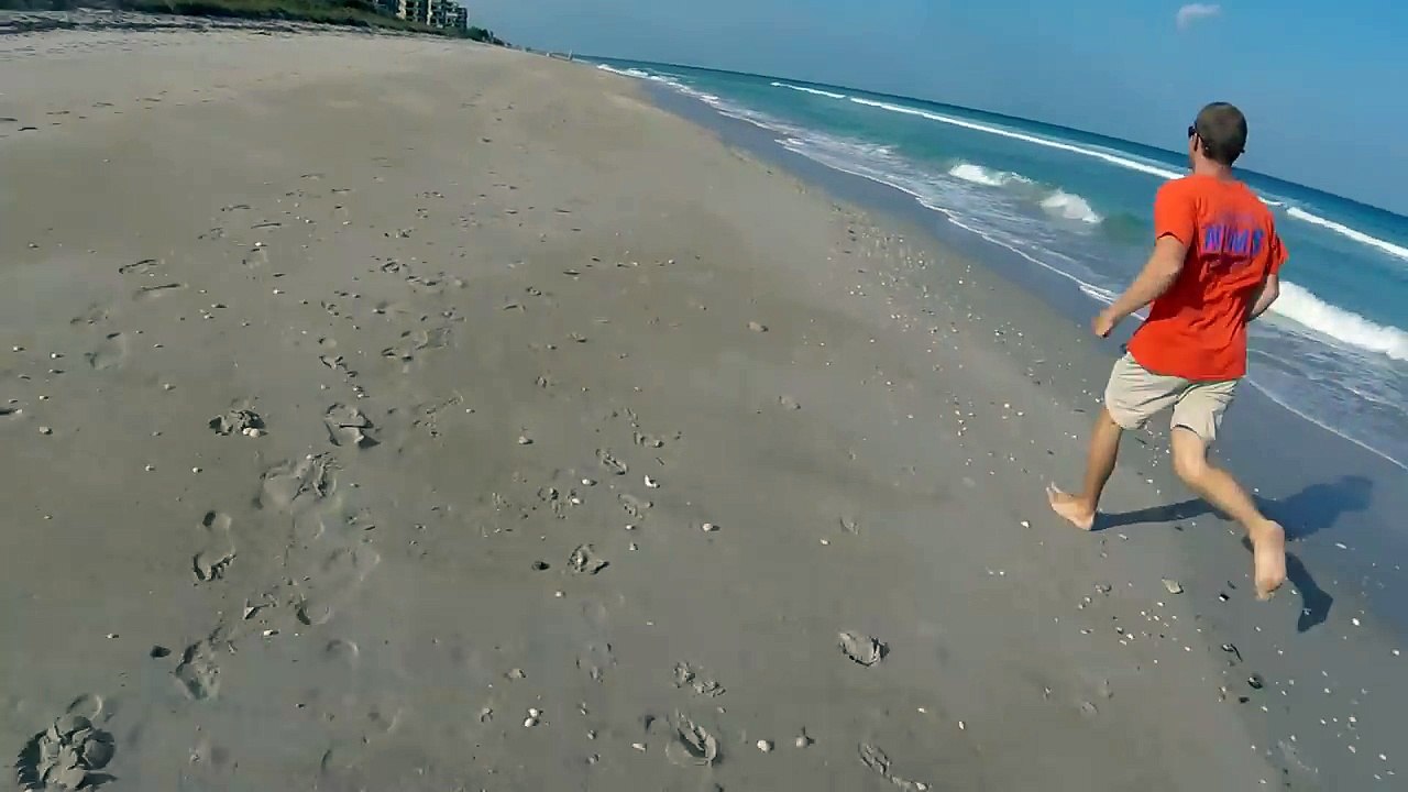 Sans stress, un homme va sauver un requin coincé dans une ligne de pêche sur la plage
