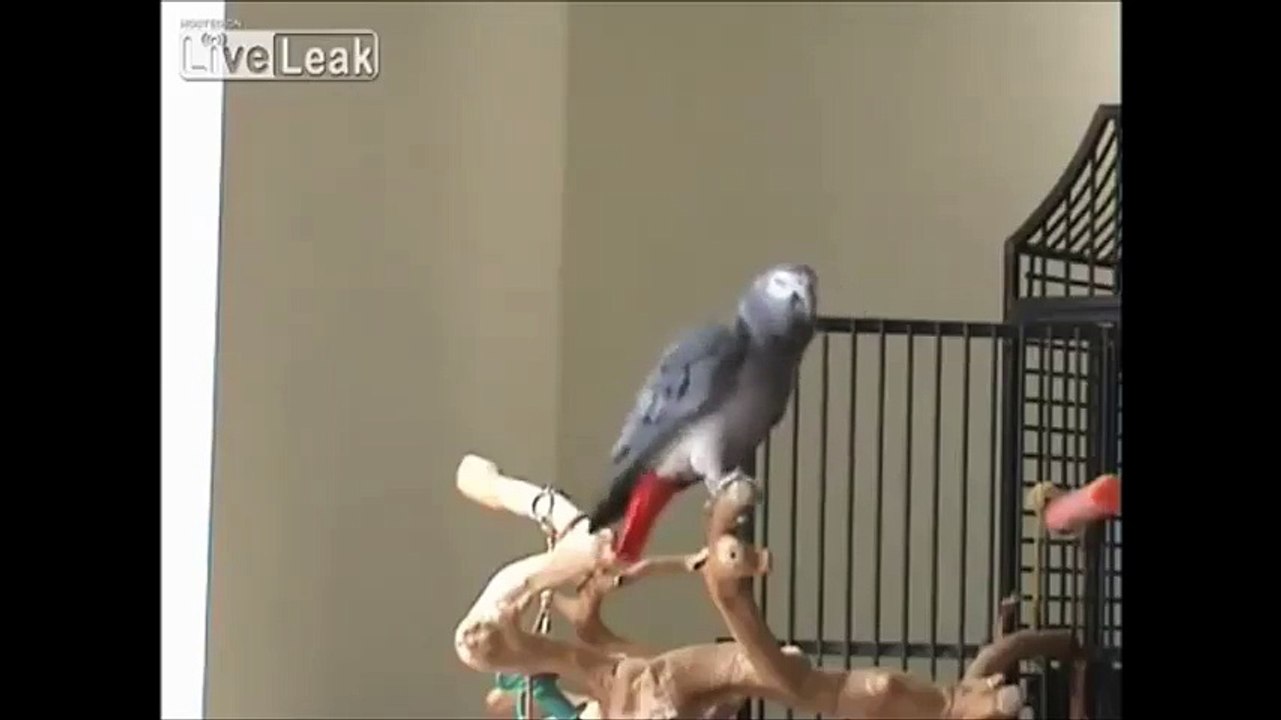 fun
