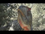 Napoli - I dinosauri in mostra nel Parco degli Astroni (03.03.17)