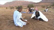جمعيات محلية بموريتانيا تسعى للحفاظ على الألعاب التقليدية