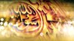 Koi Nabi Nahi Hai Mere Mustafa K Bad Hafiz Tahir Qadri Ramzan Album 2015 Official Video