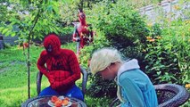 Человек-паук и замороженных какашек Эльза цвета шарики и розовый девушка W/ Супергерои в реальной жизни эпизод 9