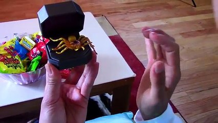 Frozen Elsa & Spiderman Fail Marriage proposal - Funny Superhero movie in Real Life