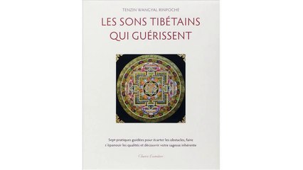 [Download PDF] Les sons tibétains qui guérissent (1CD audio)