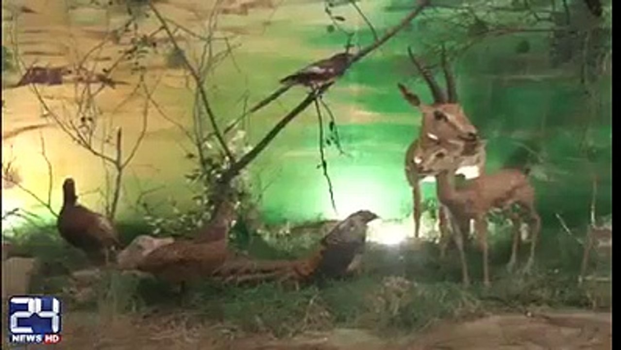 KPK mai pehli martba Soobay mai Jungli Hayat ka Museum Qaaim