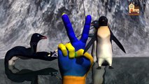 penguins and tiger Finger family nursery 3d English rhymes | Funny Animals Finger Family kis songs