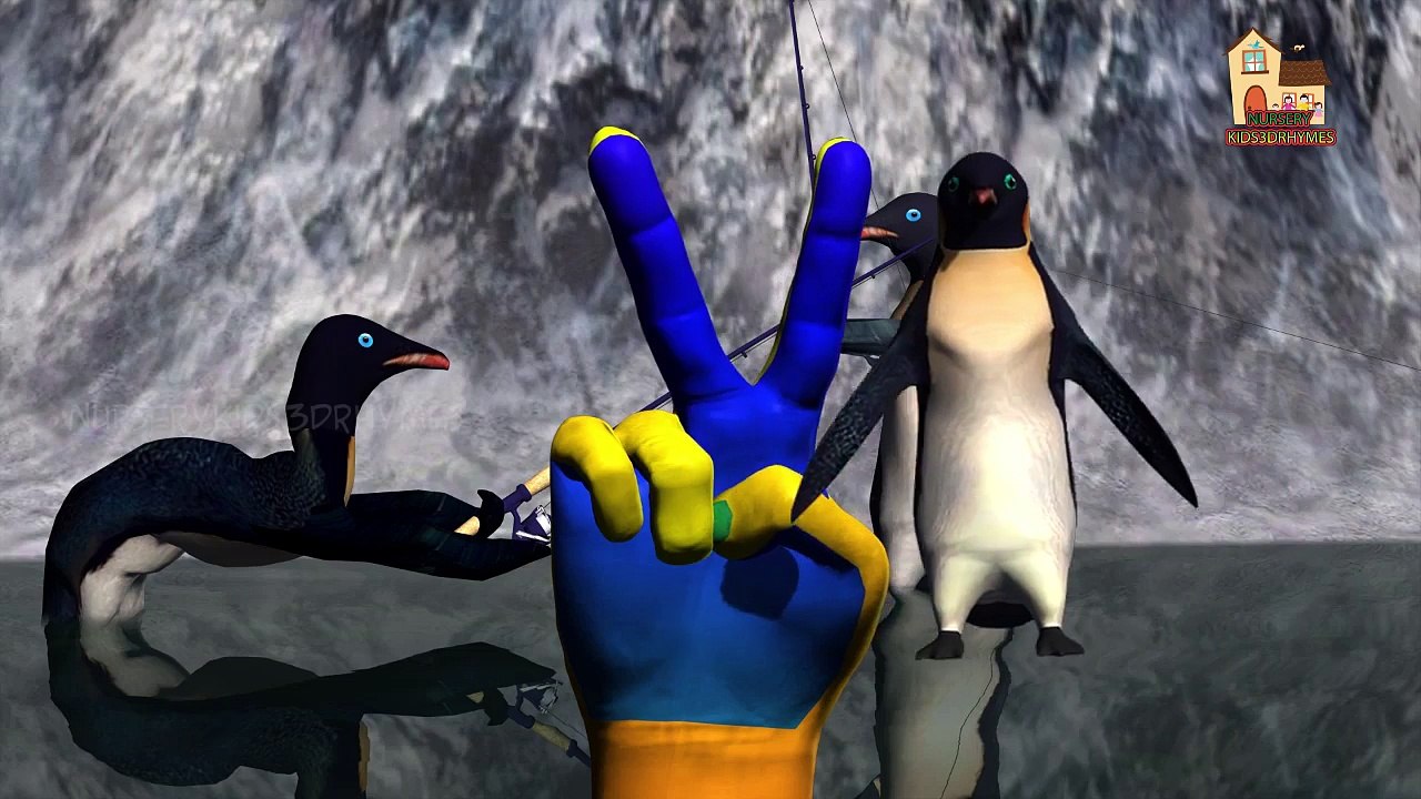 penguins and tiger Finger family nursery 3d English rhymes | Funny Animals Finger Family kis songs
