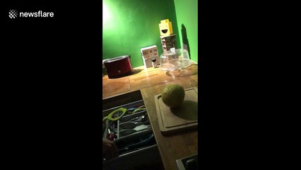 Man smashes melon with head