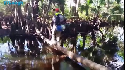 Funny videos 2016 - HARDEST try not to laugh challenge - YouTube