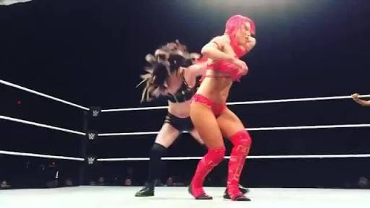 Charlotte_vs._Paige_-_Divas_Championship_Match__Raw,_November_23,_2015