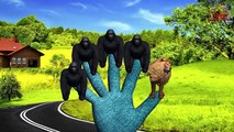 Owl Finger Family - 3D Animation Nursery Rhymes & Songs for Children - Five Finger TV