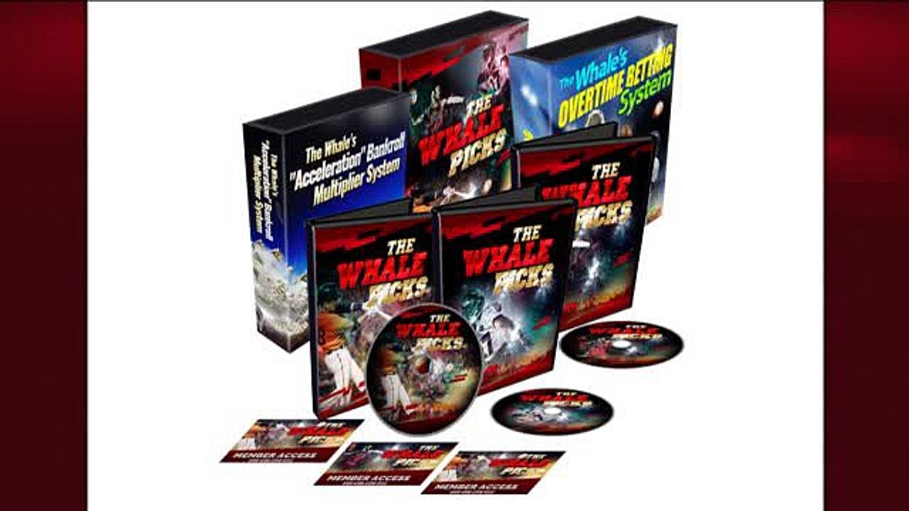 The Whale Won $40 Million Betting On Sports! $500 Monthly Recurring!