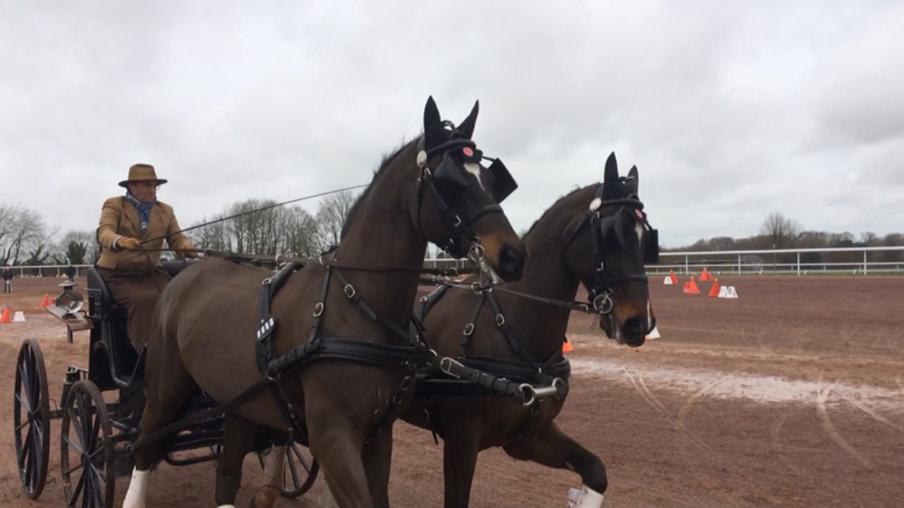 Concours international d'attelage à l'hippodrome