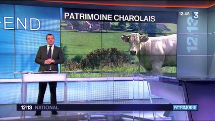 19/20 national : le paysage du Charolais-Brionnais concourt pour l'Unesco