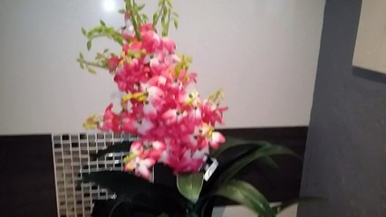 bosta de merda!! falido