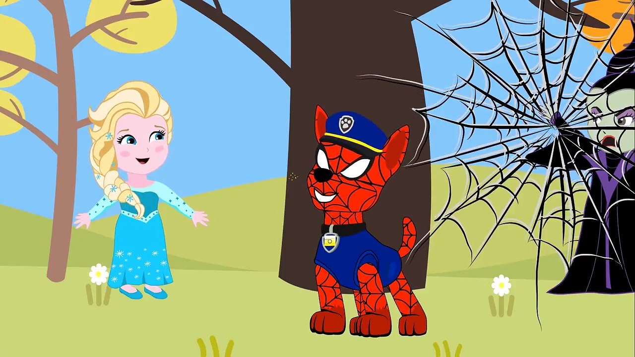 Frozen Elsa Birthday Party 2 Paw Patrol Finger Family Song Nursery Rhymes
