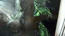Venus