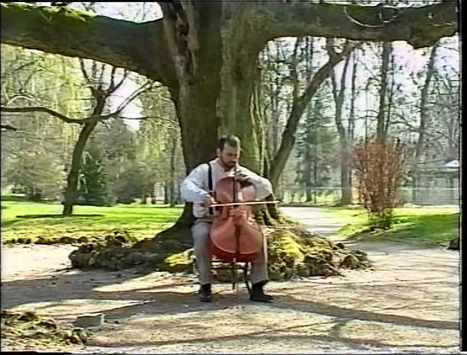 Fabrication d'un violon (Lutherie - Métier d'Art et de Tradition)