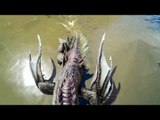 FINAL FANTASY XV - Les Créatures Marines Trailer