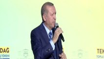 Cumhurbaşkanı Erdoğan: 