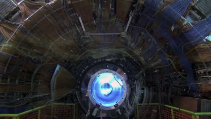 Richard Dawkins - Appetite for Wonder