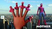 Finger Family Cartoon Spider Man Family Songs | Spider Man Daddy Finger Nursery Rhymes for Children
