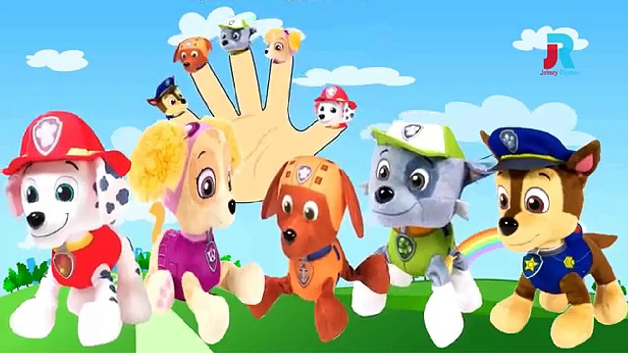 PAW PATROL Finger family nursery rhymes dancing animation