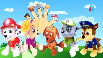 PAW PATROL Finger family nursery rhymes dancing animation