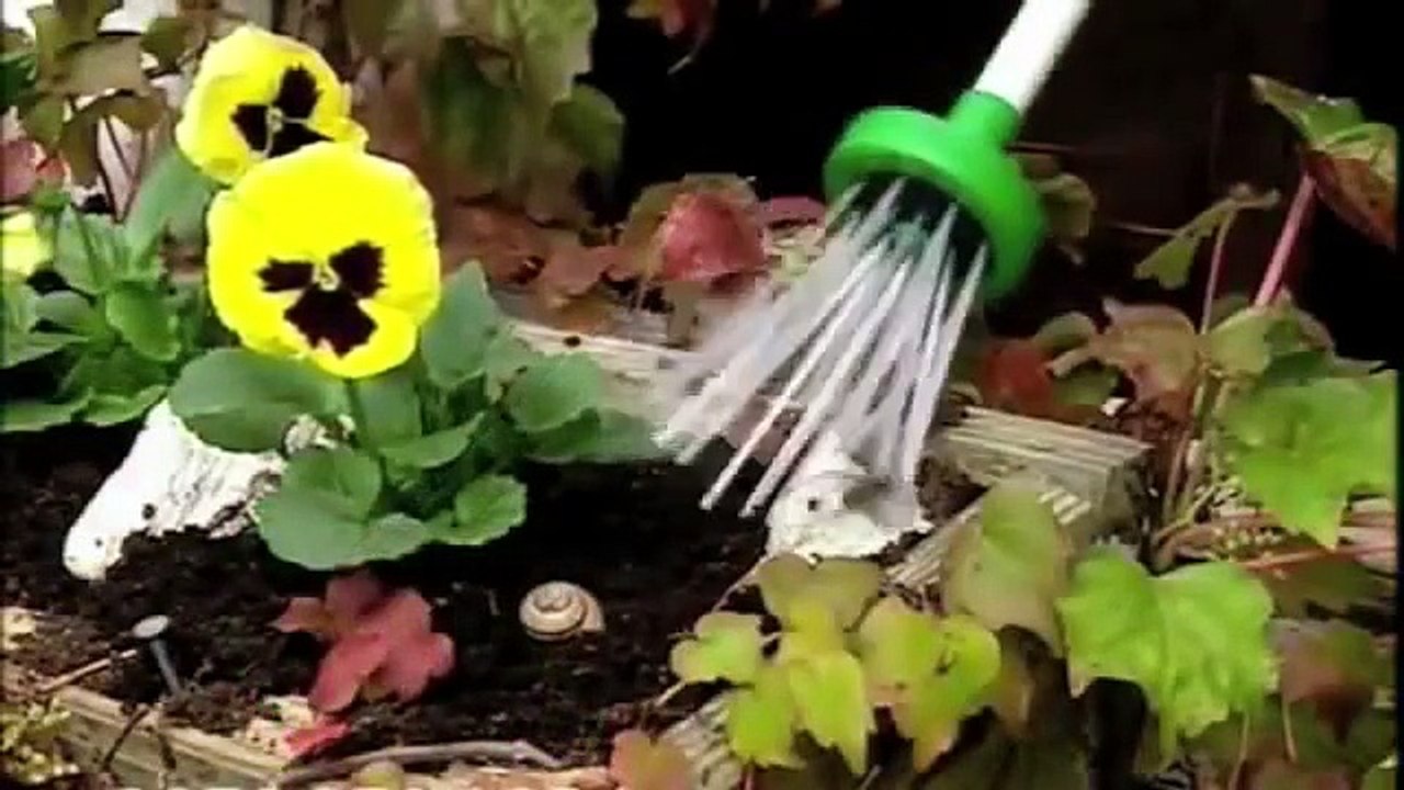 Here is an effective way to catch spiders and get rid of without killing them