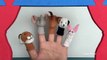 Animals Finger Family Nursery Rhymes Collection | Animals Daddy Finger Songs For Children